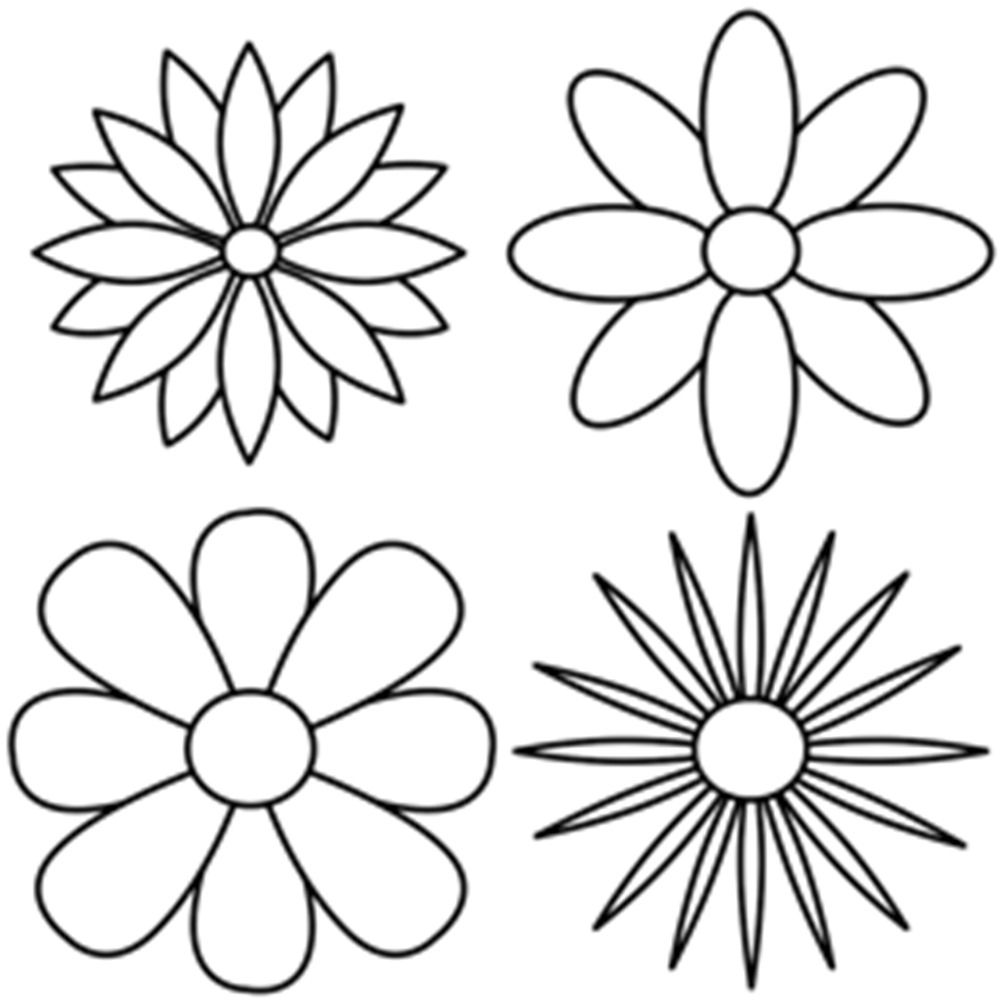 Different Flower Drawing High-Quality