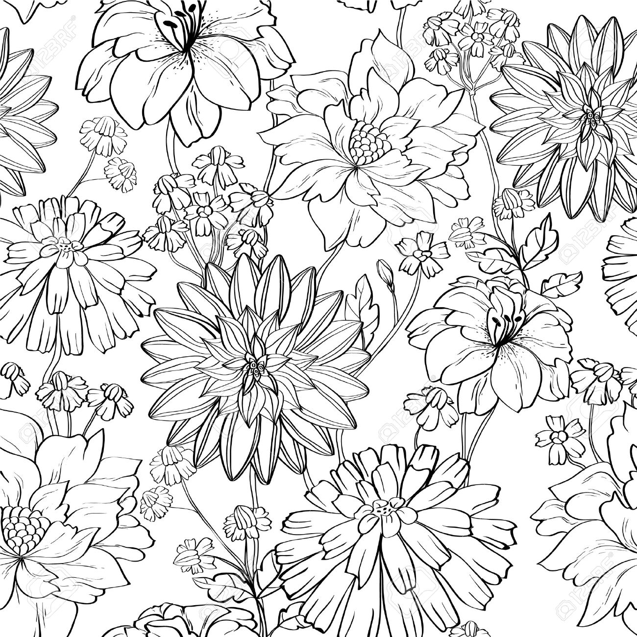 Different Flower Drawing Photo