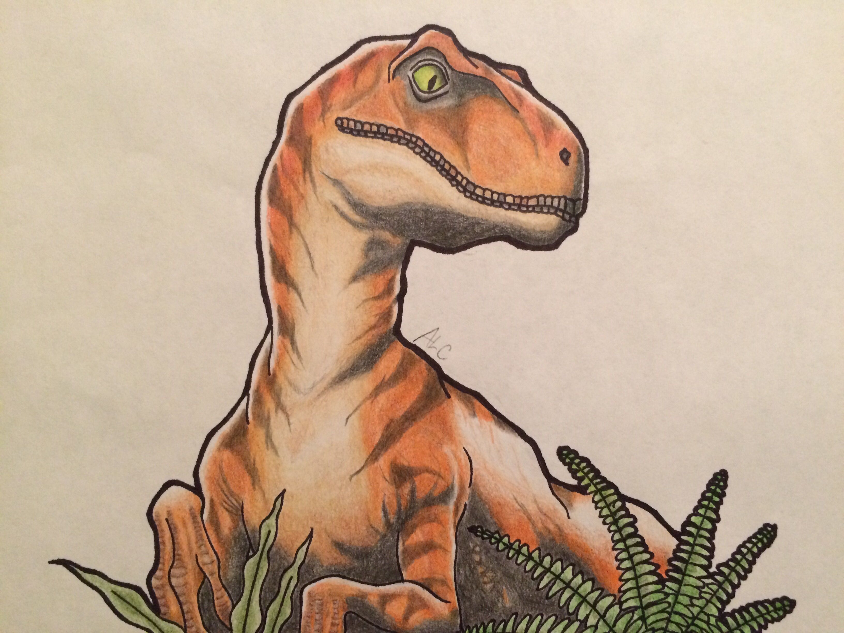 Dinosaur Kid Drawing Amazing