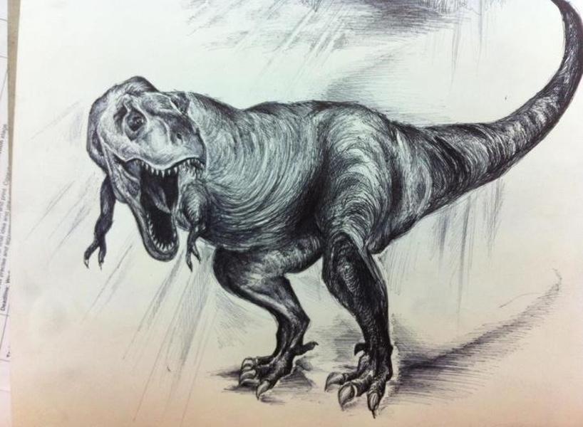 Dinosaur Kid Drawing Photo