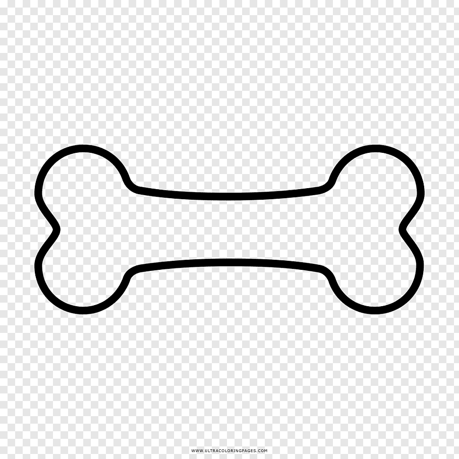 Dog Bone Drawing Pic