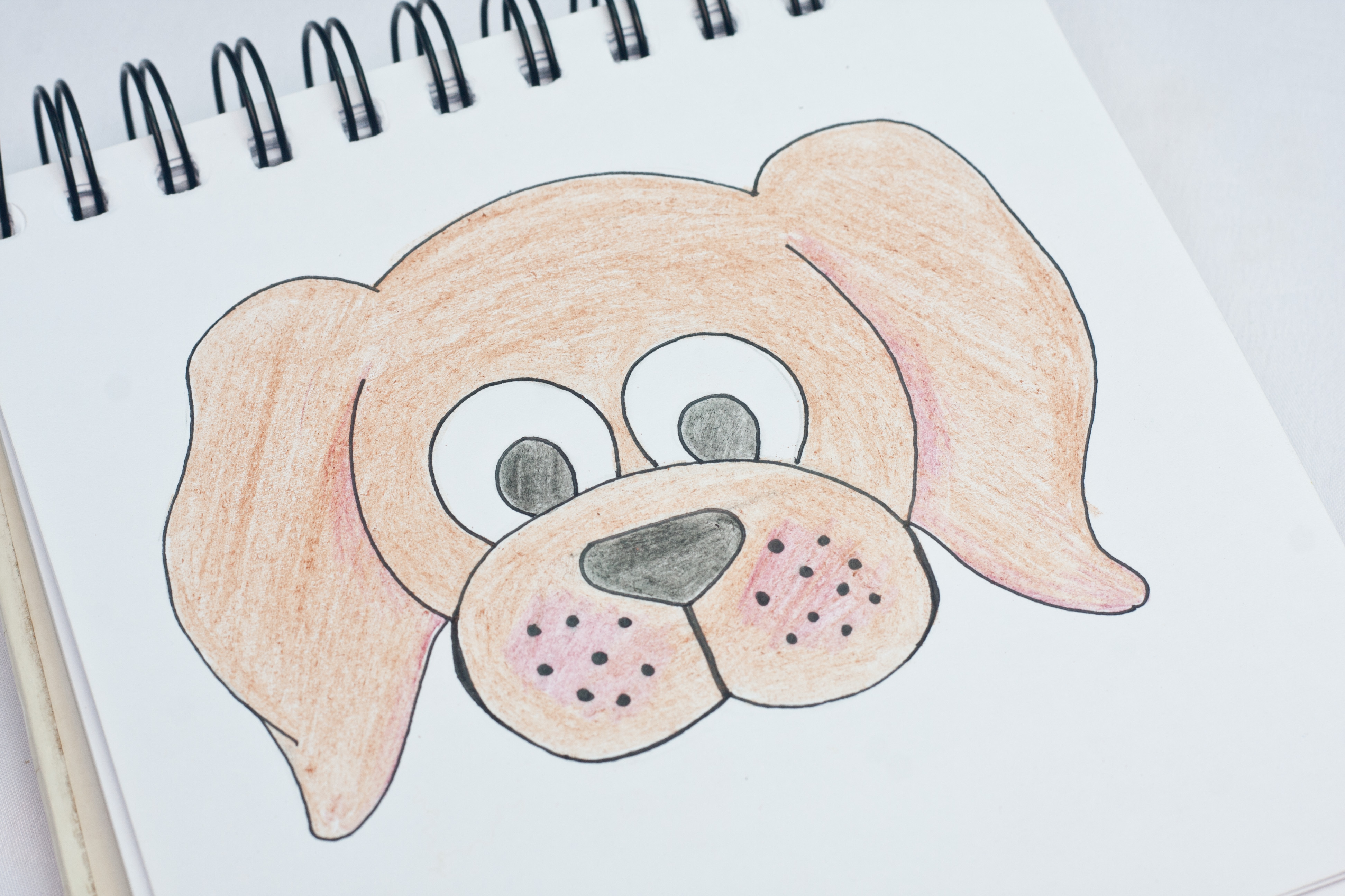 Dog Cartoon - Drawing Skill