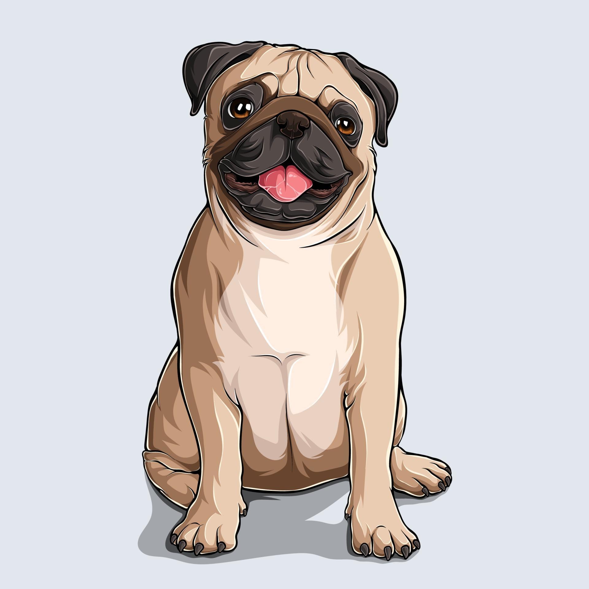 Dog Cartoon Drawing Pic