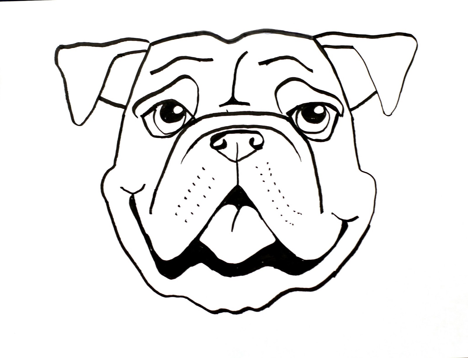 Dog Face Drawing Image
