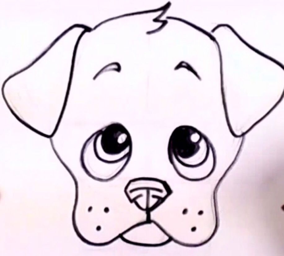 Dog Face Drawing Photo