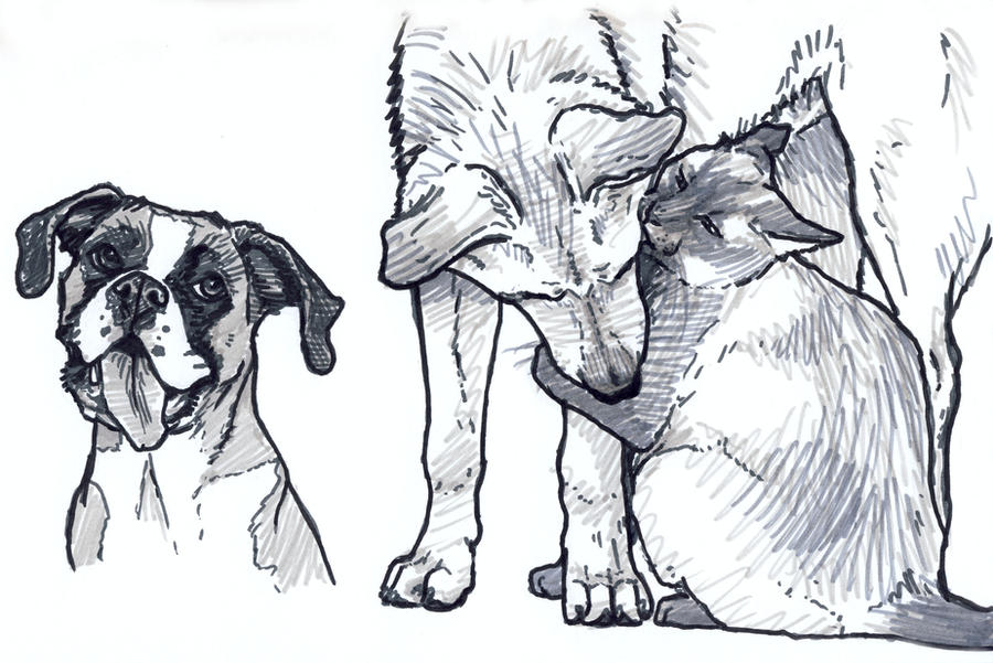 Dog and Cat Drawing Image