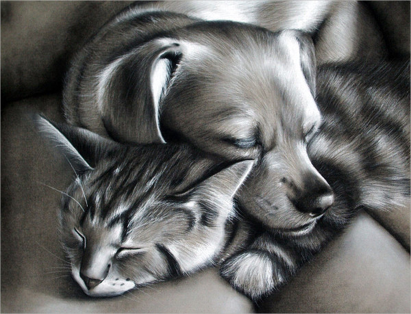 Dog and Cat Drawing Photo
