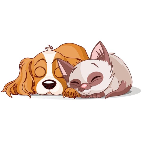 Dog and Cat Drawing Pic