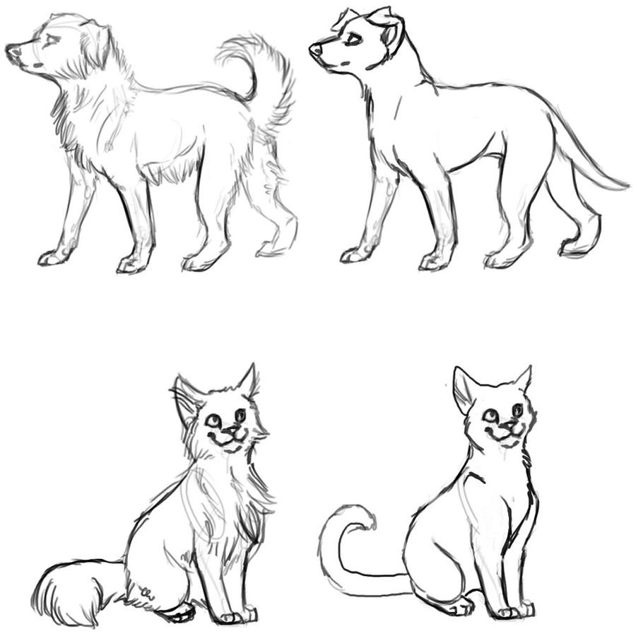 Dog and Cat Drawing Pics
