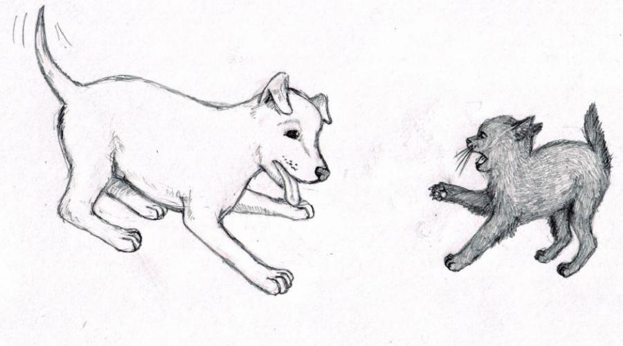 Dog and Cat Drawing Sketch