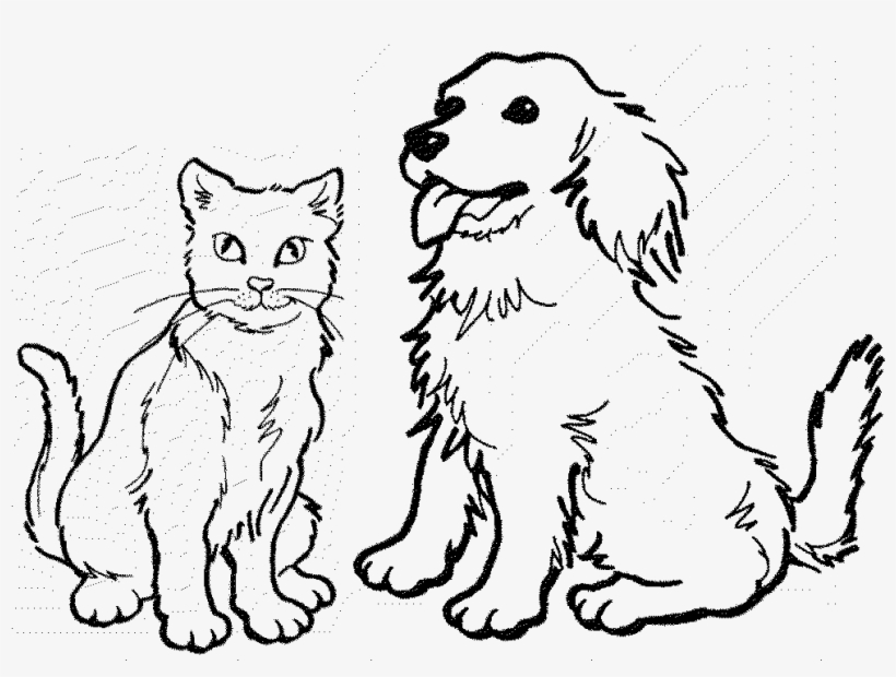 Dog and Cat Drawing