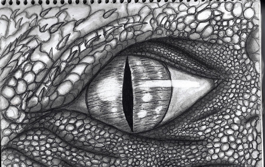 Dragon Eye Drawing Beautiful Art