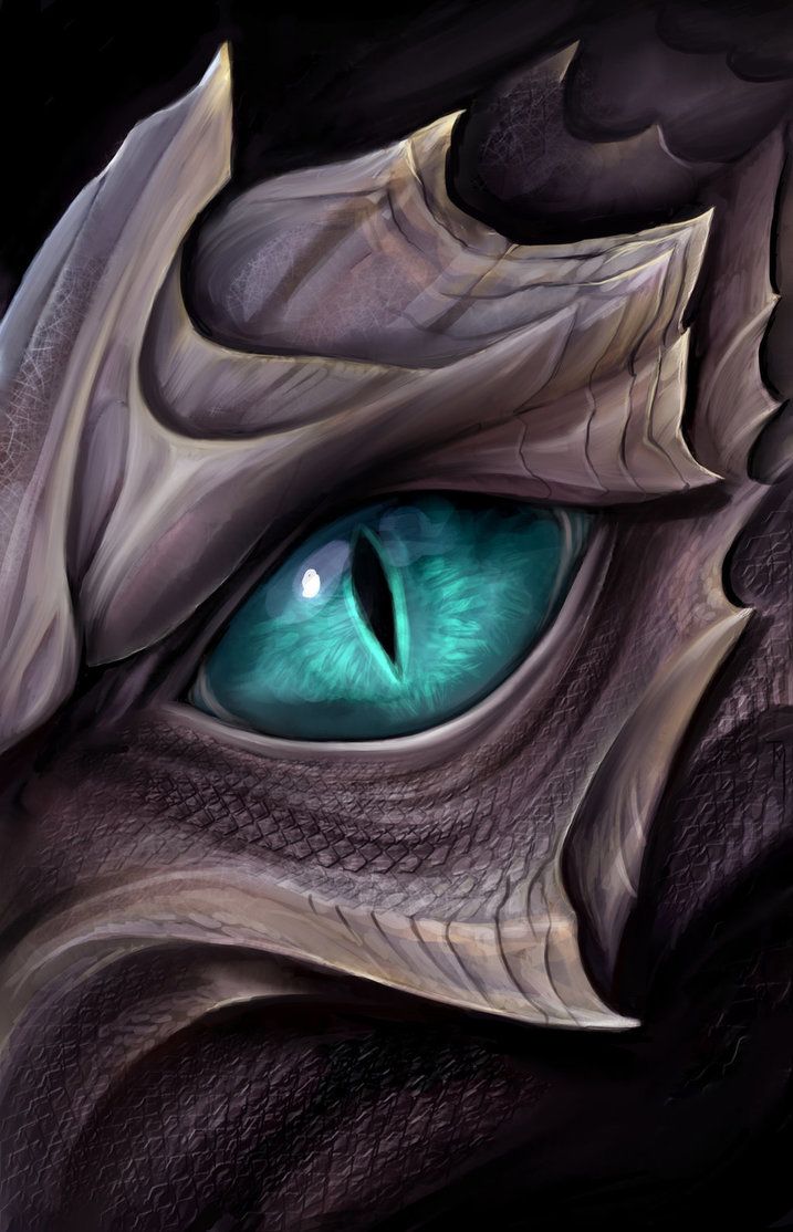 Dragon Eye Drawing Photo