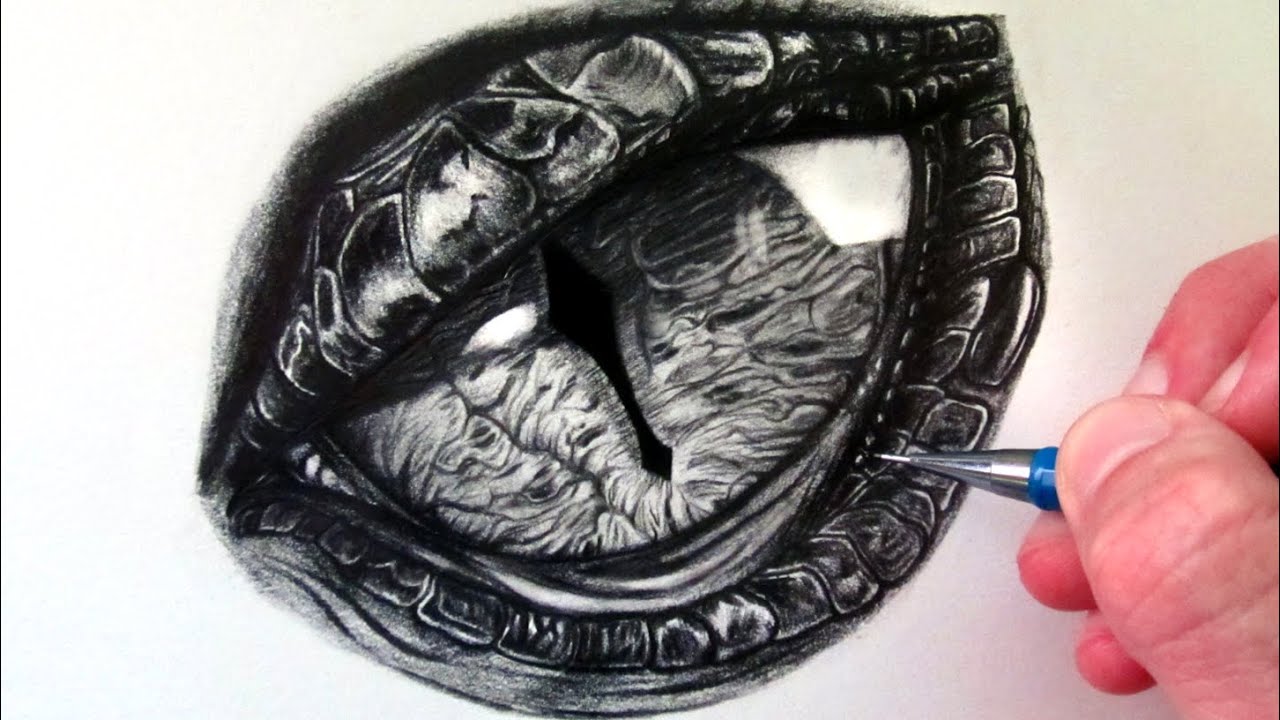 Dragon Eye Drawing Photos