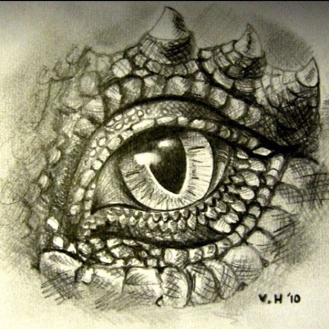Dragon Eye Drawing Pic