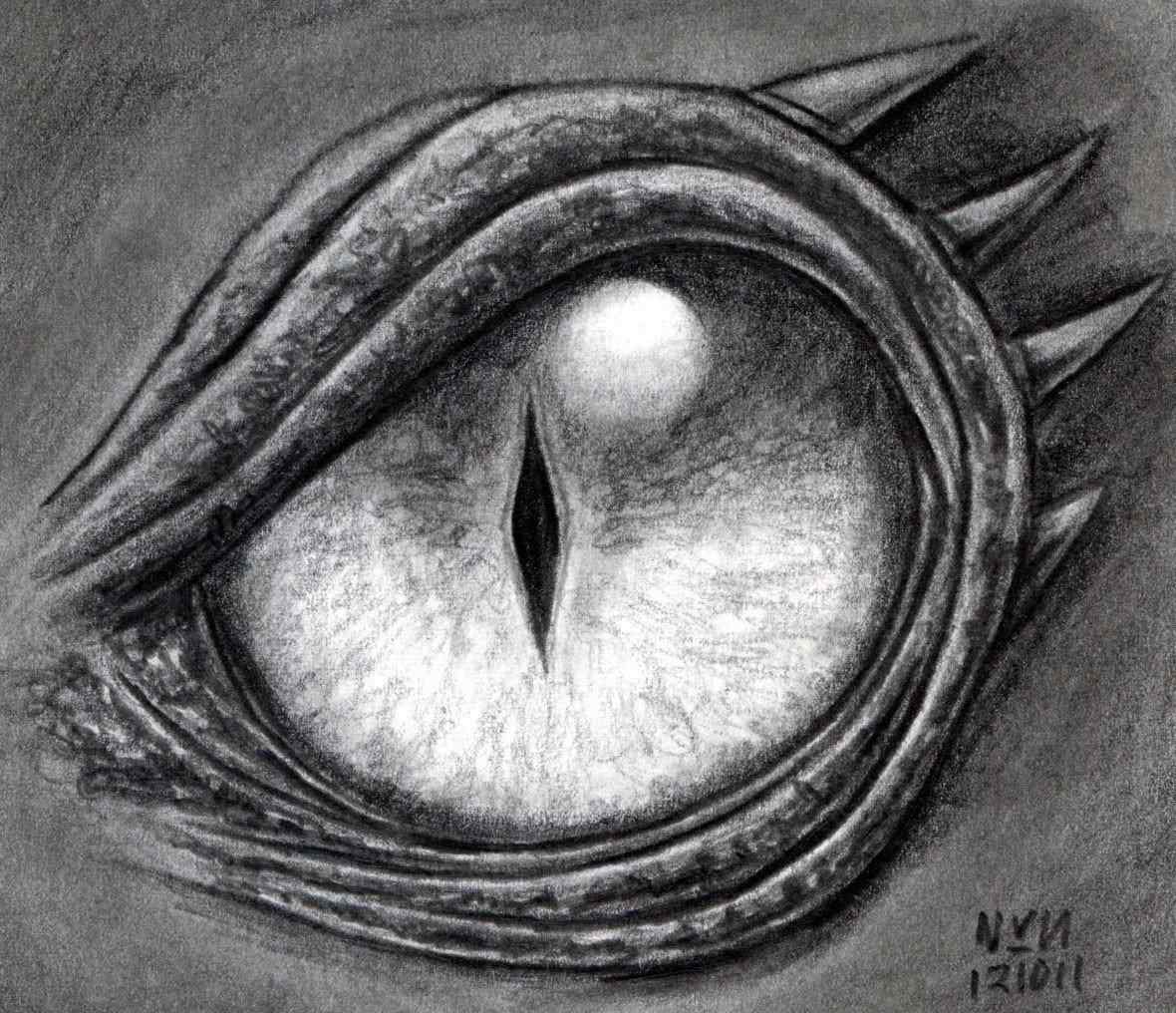 Dragon Eye Drawing Picture