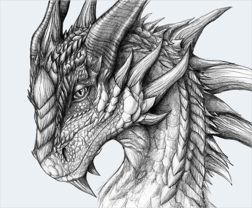 Dragon Face Art Drawing