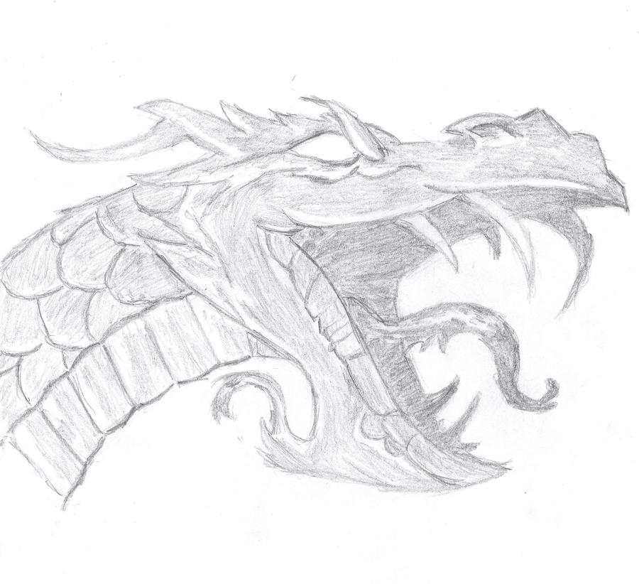 Dragon Face Drawing Creative Art