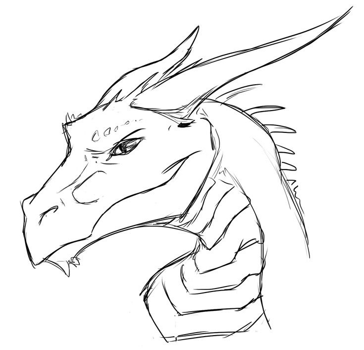 Dragon Face Drawing High-Quality