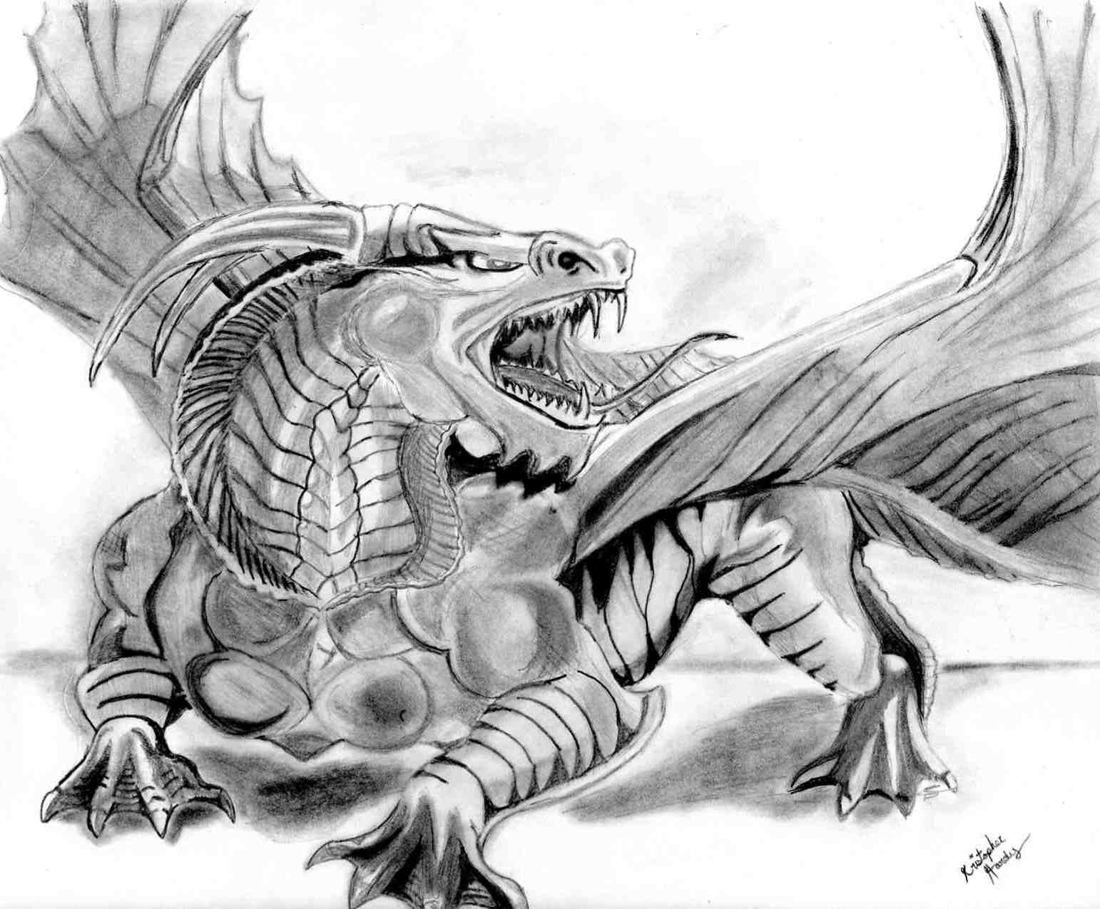 Dragon Face Drawing Picture