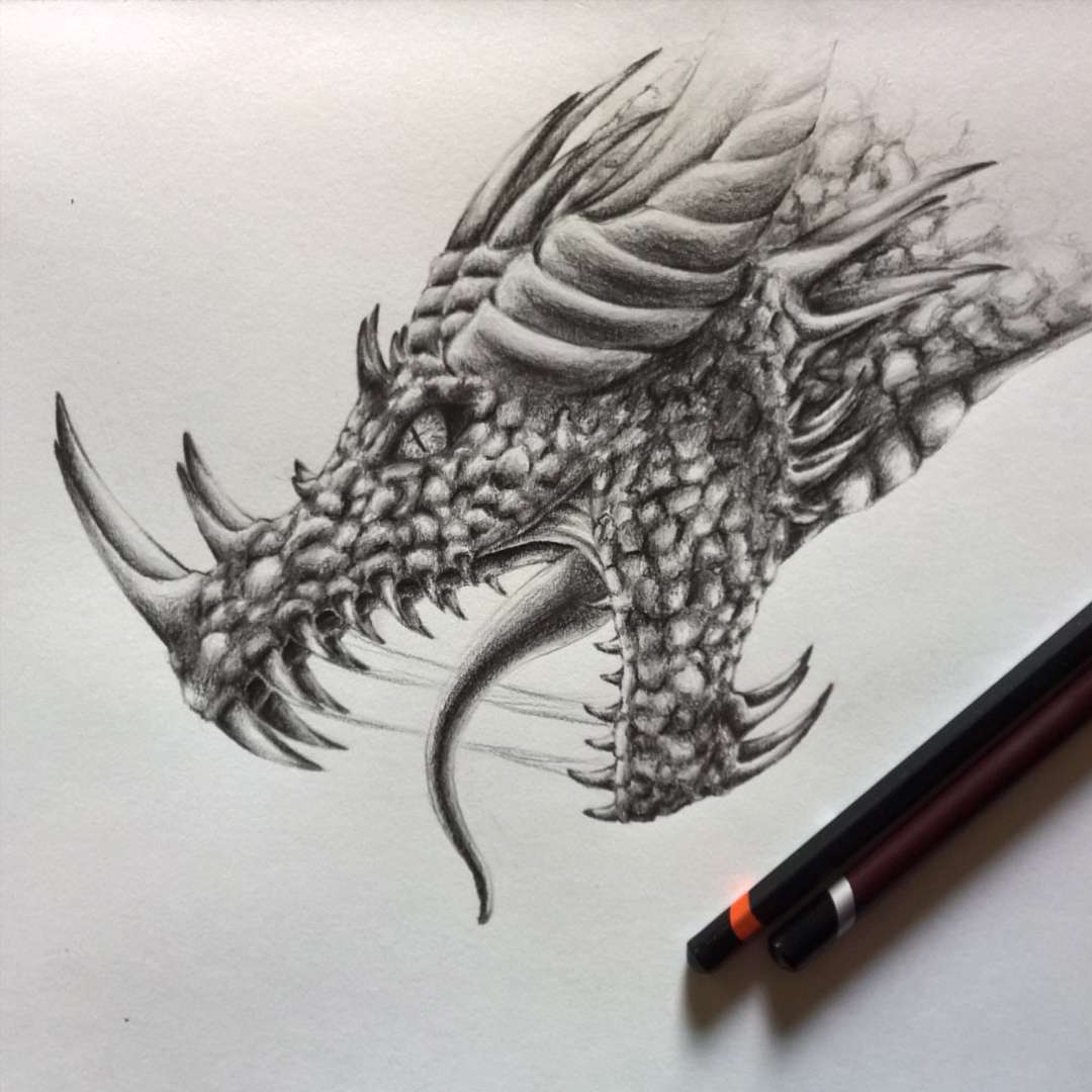 Dragon Face Drawing Sketch