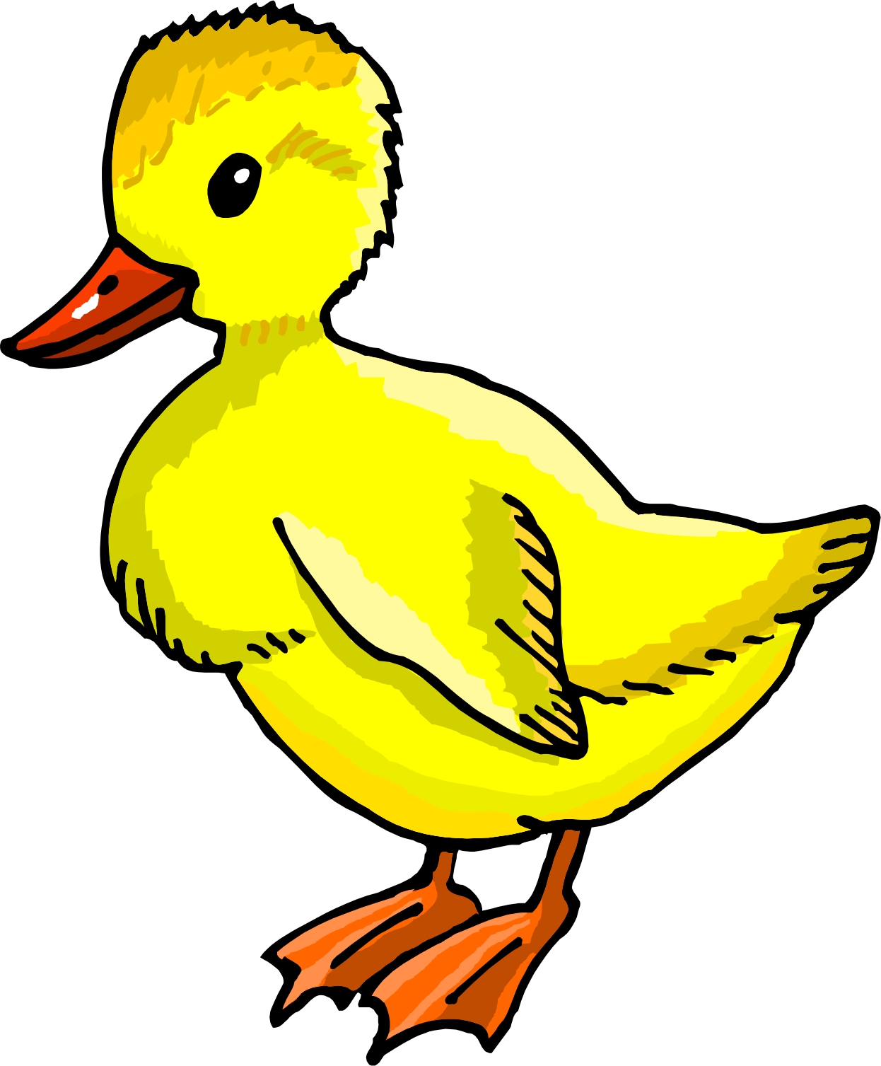 Duck Cartoon Drawing Pic