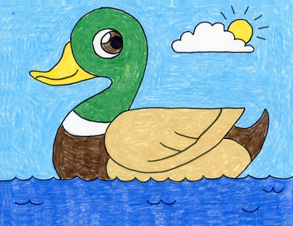 Duck Cartoon Drawing Pics