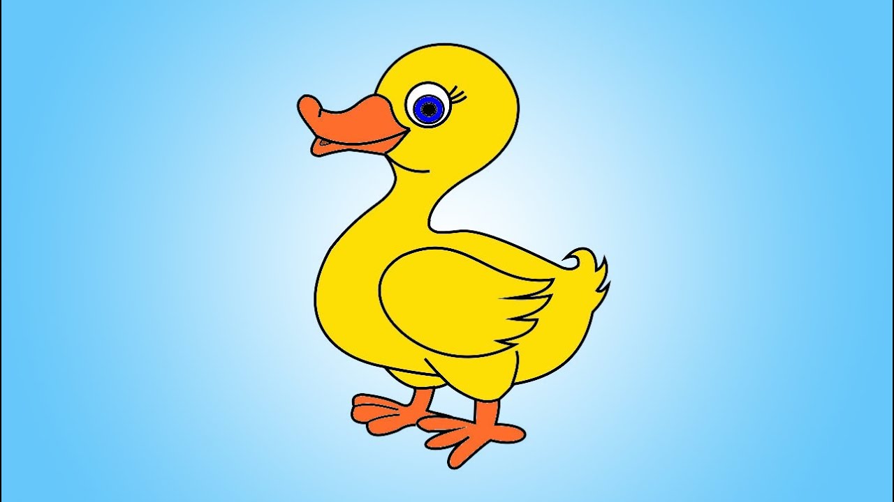 Duckling Cartoon Drawing Photo - Drawing Skill