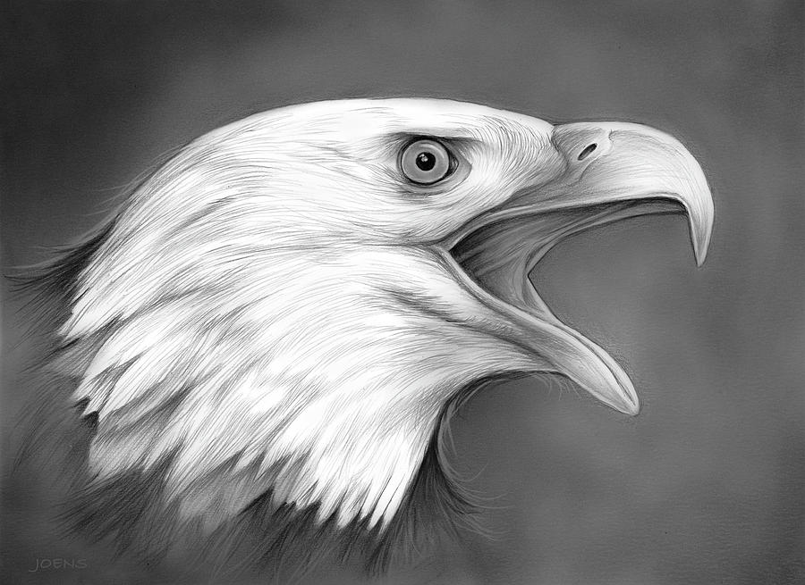 Eagle Best Drawing