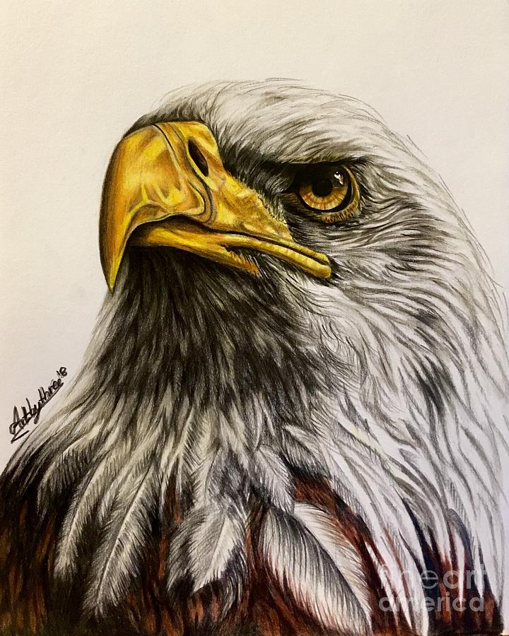 Eagle Drawing Art