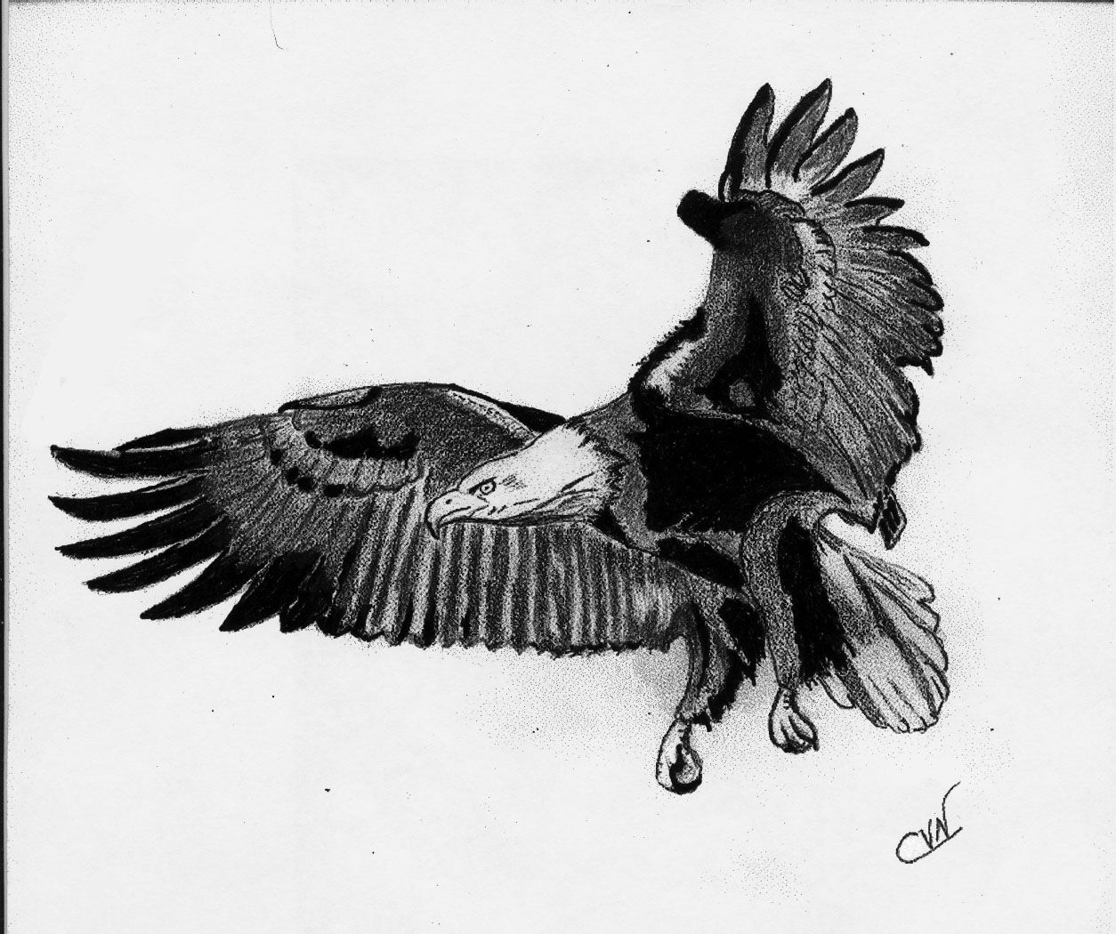Eagle Flying Drawing Beautiful Image