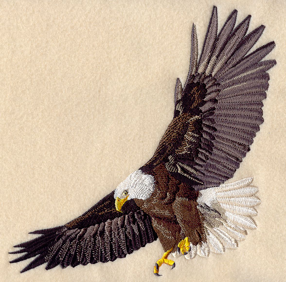 Eagle Flying Drawing Image