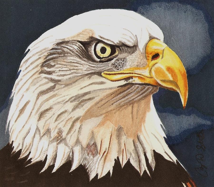 Eagle Head Drawing Photo