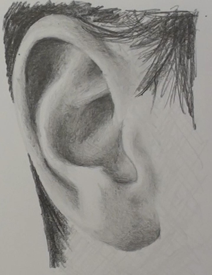 Ear Drawing Image