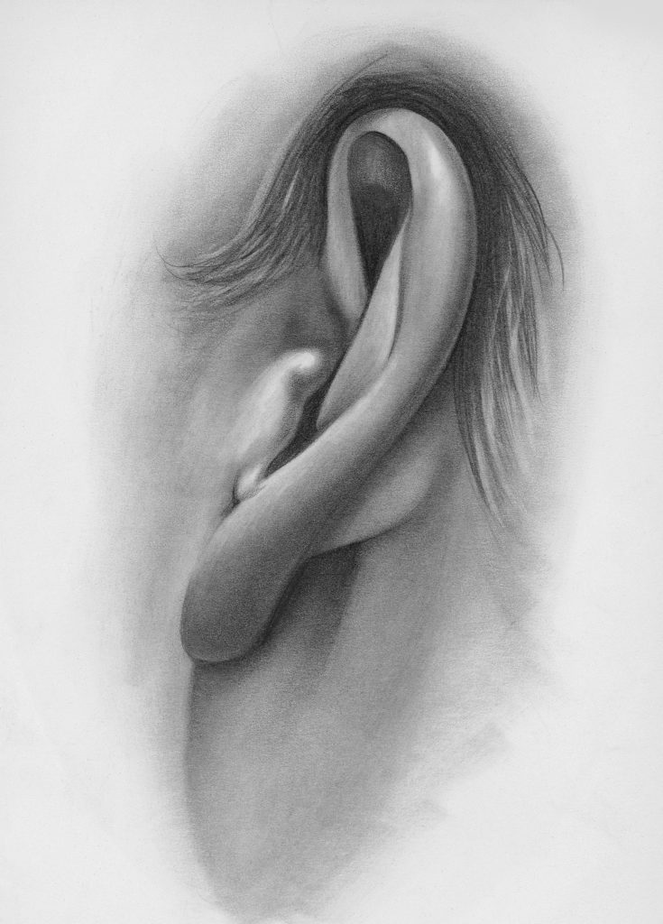 Ear Drawing Photo