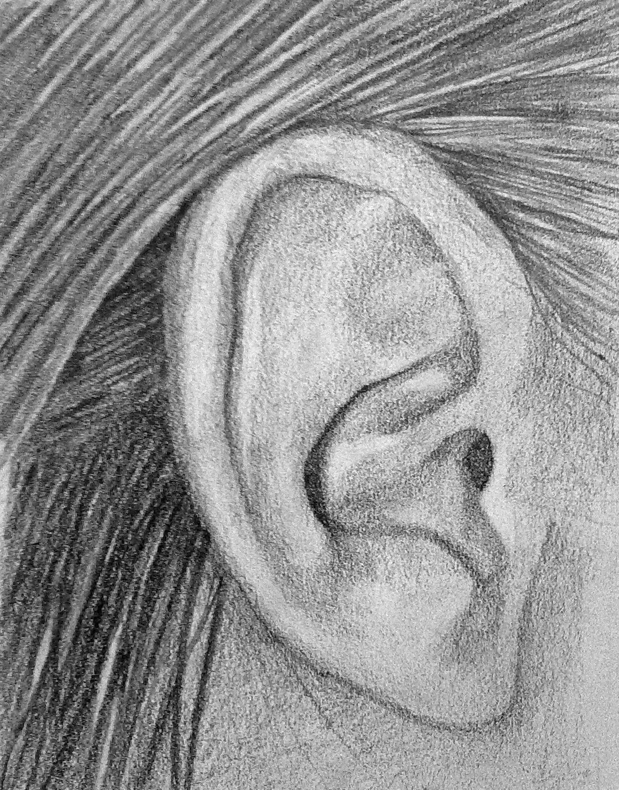 Ear Drawing Pics