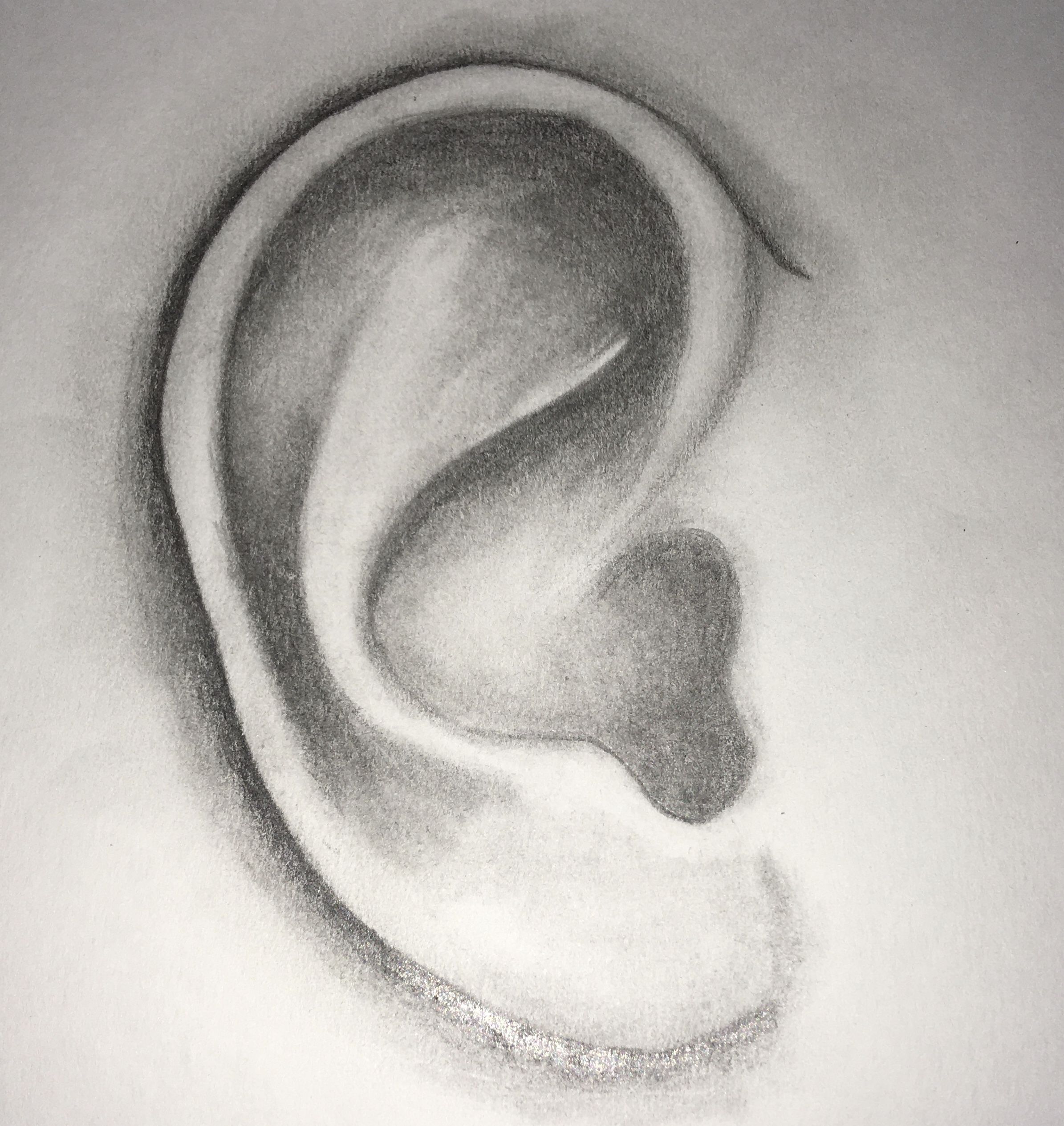 Ear Drawing Picture