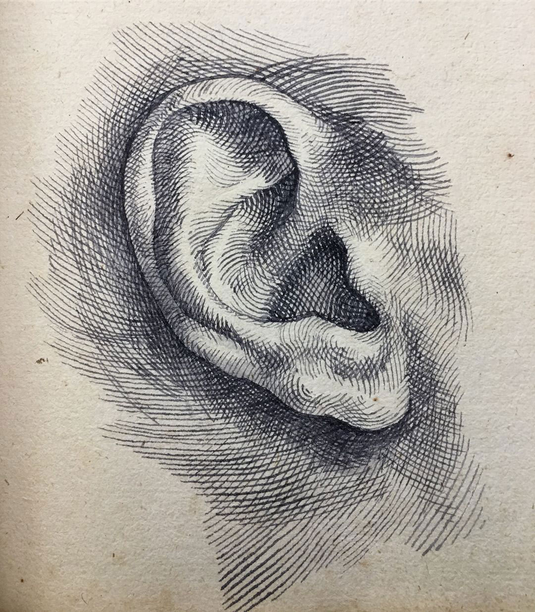 Ear Drawing
