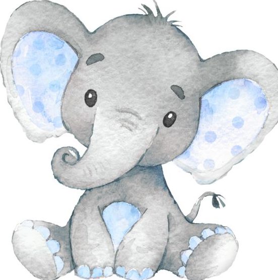 Elephant Cute Drawing Photo