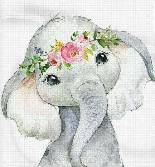 Elephant Cute Drawing Pic