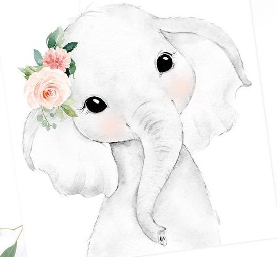 Elephant Cute Drawing Pics
