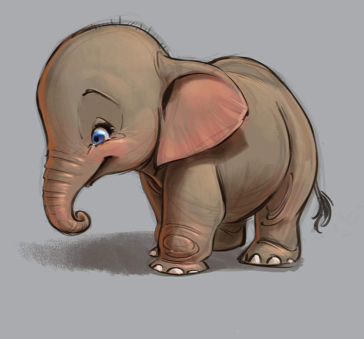 Elephant Cute Drawing Realistic