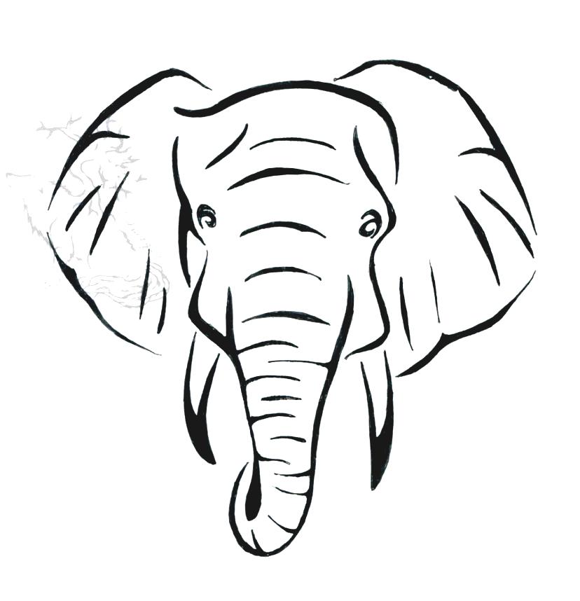 Elephant Head Drawing Amazing
