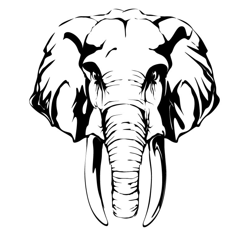 Elephant Head Drawing Art