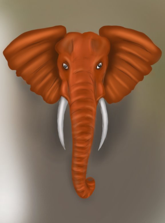 Elephant Head Drawing Pic