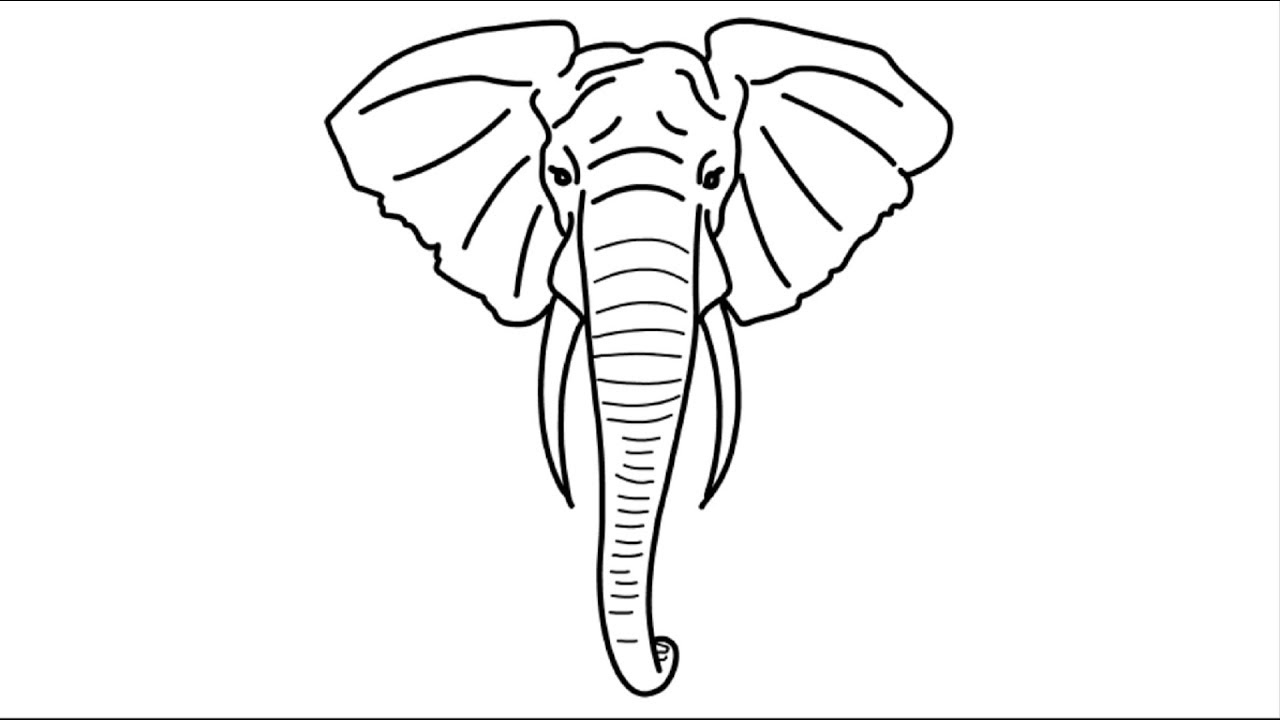 Elephant Head Drawing Picture