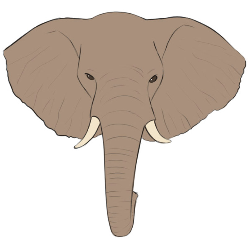 Elephant Head Drawing Realistic