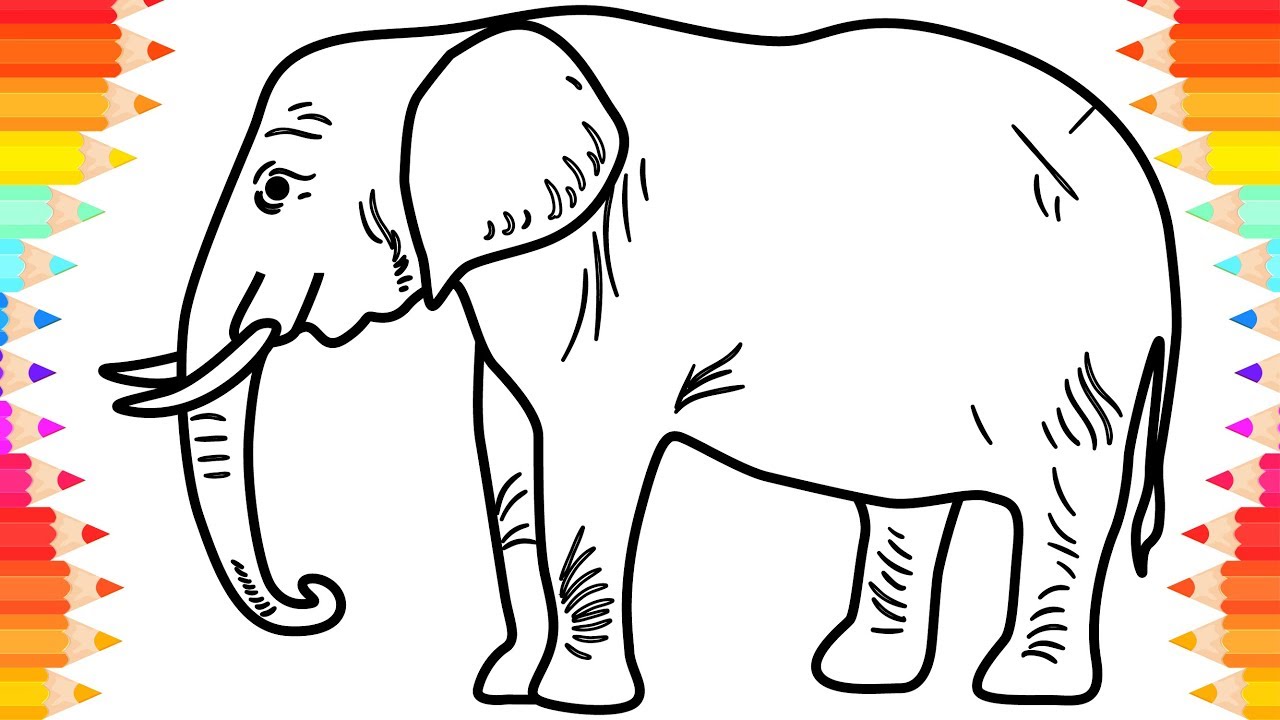 Elephant Kid Drawing Sketch