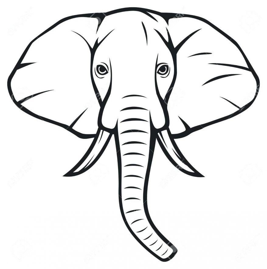 Elephant Simple Drawing Image