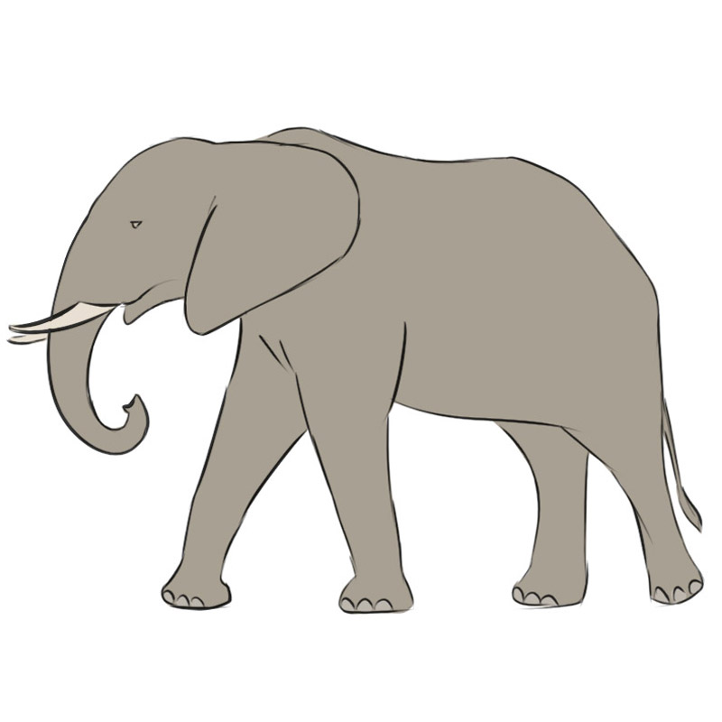 Elephant Simple Drawing Photo